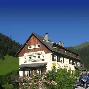 *** Hotel - Restaurant - Bar - Le Sapin Fleuri Frankrijk